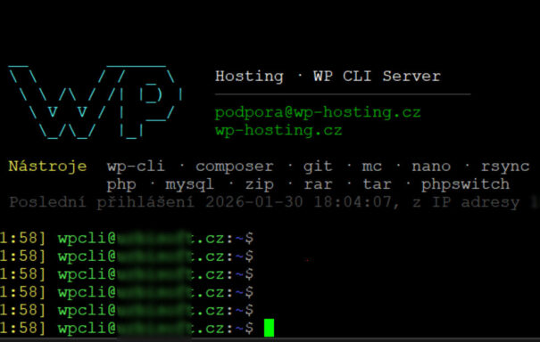 Aktualizovaný WP-CLI server: správa WordPressu z&nbsp;příkazové řádky